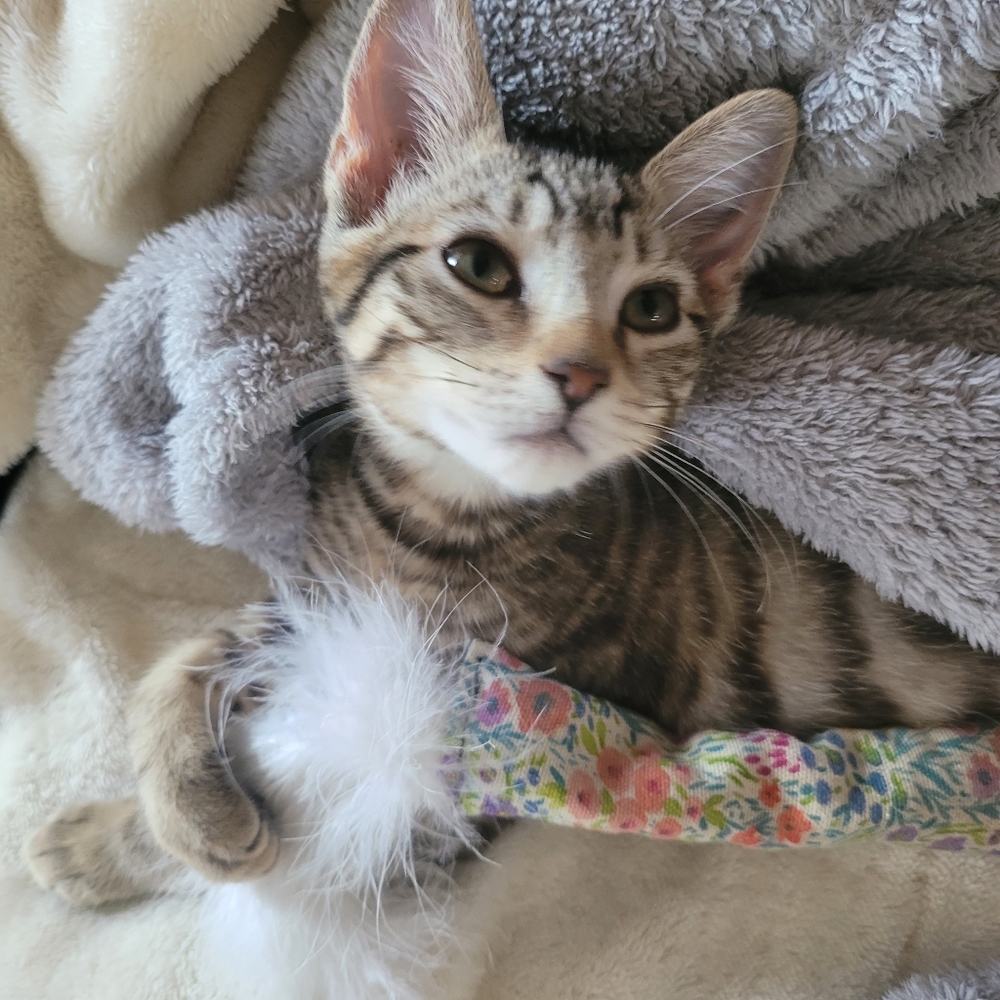 Meet your Posher, Mel